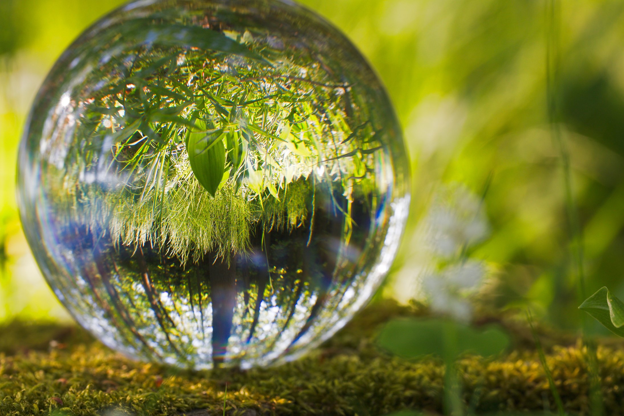 Glass Ball in Nature