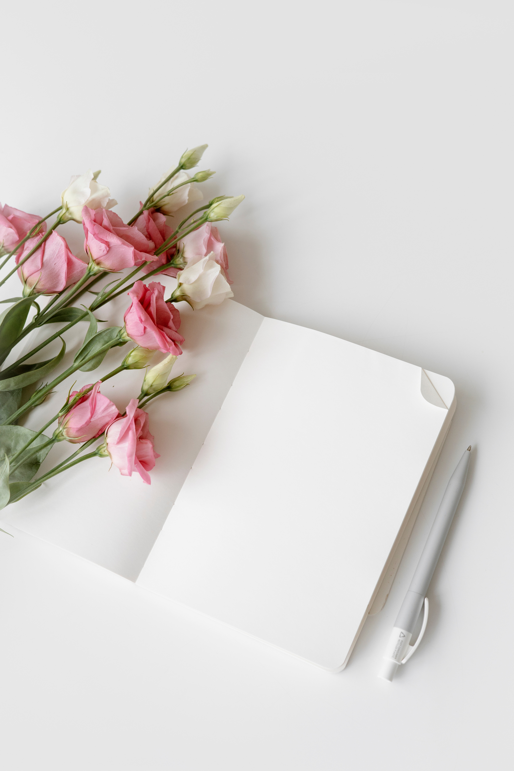 Pink and White Flowers on White Wooden Table